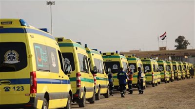 بينهم طبيبة.. خروج جميع المصابين الـ6 في حادث المنيا من مستشفى سمالوط النموذجي | خاص