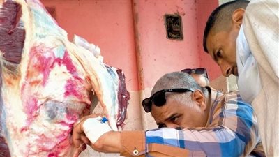 تموين المنيا: 94 مخالفة متنوعة خلال حملات على المخابز البلدية والأسواق