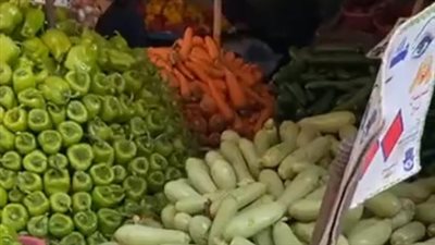 البطاطس بـ 16 جنيها للكيلو والفراخ البيضاء بـ 75.. تعرف على أسعار الطيور والخضراوات داخل الأسواق| بث مباشر 