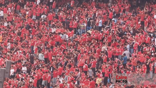 جمهور الأهلي 