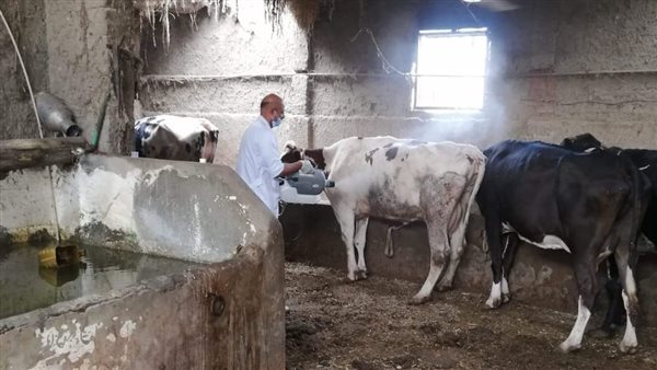 جانب من أعمال اللجنة