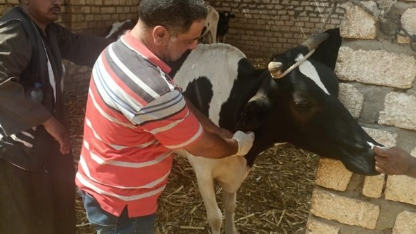 قافلة علاجية بيطرية