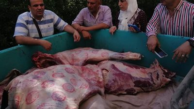 ضبط كمية من اللحوم غير صالحة للاستهلاك الآدمي في حملة بكفر الشيخ| صور