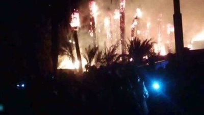 3 مواشٍ و50 فرخة حصيلة خسائر جديدة لحريق الـ40 نخلة بالأقصر 