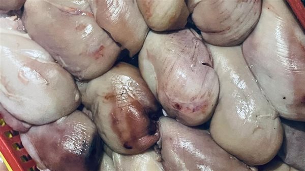 جانب من الحملة 