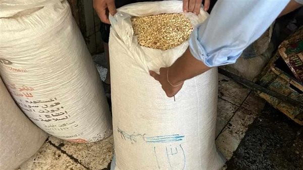 حملة تفتيشية 