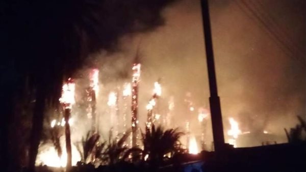 حريق يلتهم 40 نخلة