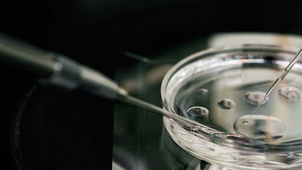 التلقيح الصناعي