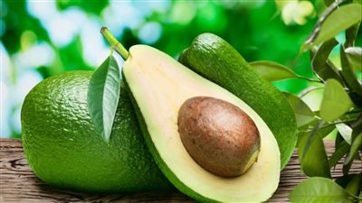 بينها دعم الهضم وصحة العيون.. فوائد صحية كبيرة لـ الأفوكادو