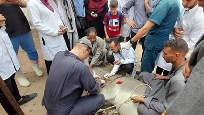 بيطري المنيا: تنظيم 6 قوافل وقائية بالمجان وتقديم 4464 خدمة علاجية 