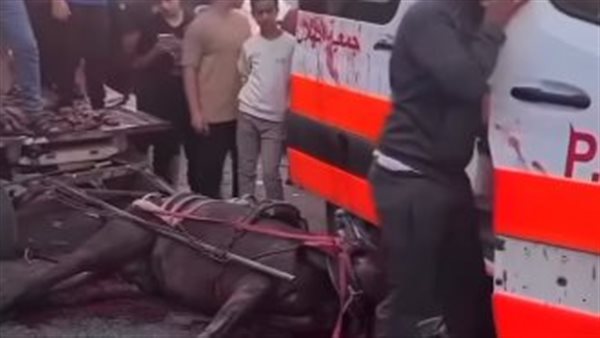 سيارات إسعاف