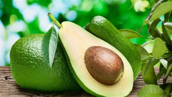 الأفوكادو 