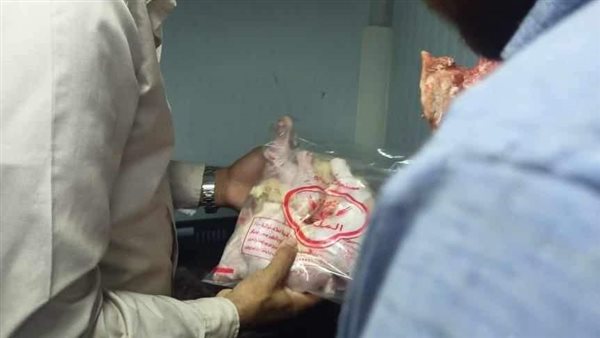 حملات تفتيشية بالمنيا