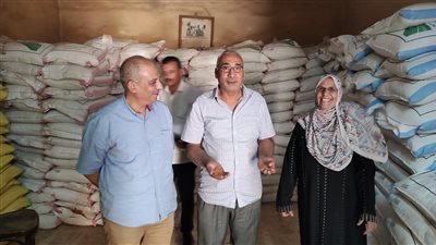 لزراعة مليون فدان.. الزراعة توزع تقاوي القمح بأسعار مخفضة على المزراعين 
