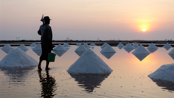 الملح - أرشيفية