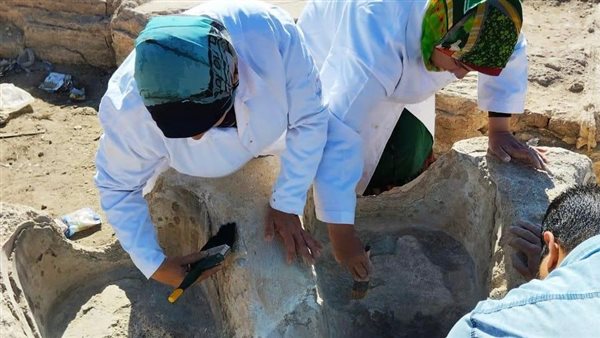 محافظ الفيوم يتابع