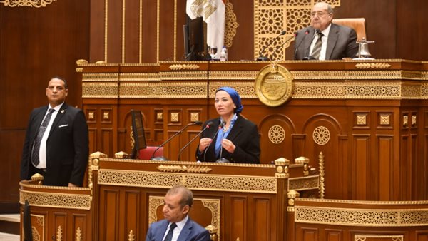وزيرة البيئة فى البرلمان