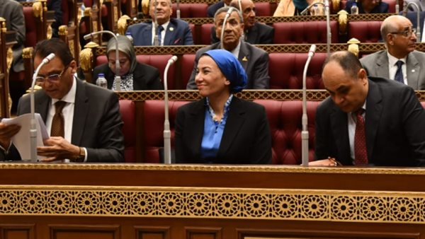 وزيرة البيئة فى البرلمان