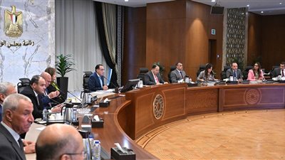 منح الشركة الوطنية المصرية لصناعات السكك الحديدية الرخصة الذهبية