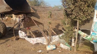 إزالات فورية في المهد بالغربية.. وجهود قوية من المحافظ للتصدي بحزم للتعديات على الأراضي الزراعية 