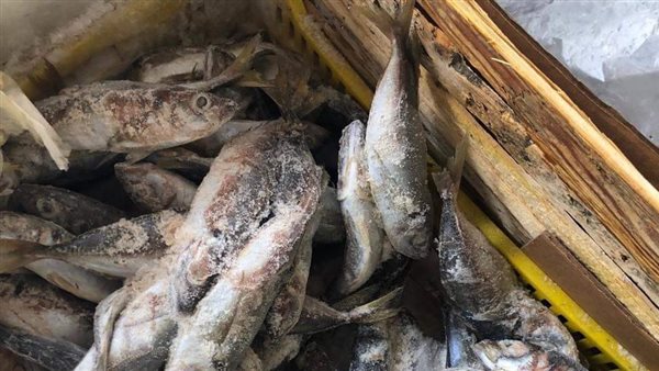 جانب من المضبوطات