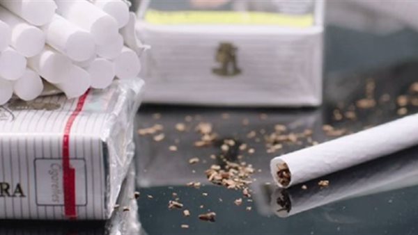 أسعار سجائر كليو