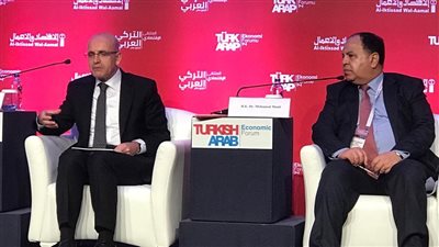 وزير المالية: 790 شركة تركية تعمل في مصر باستثمارات 2.5 مليار دولار