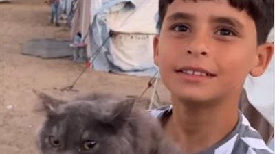 بتجري تتخبى أول ما تسمع القصف.. طفل فلسطيني يخاطر بحياته لإنقاذ قطة: إيش الفرق بينها وبين الإنسان؟