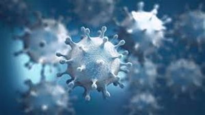 يضم 75 فيروسًا.. علماء يحذرون من الوباء الكبير: أكثر فتكًا من عدوى كورونا 