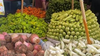 الخيار بـ 10 جنيهات والبانيه بـ165.. تعرف على أسعار الدواجن والخضراوات داخل الأسواق | بث مباشر 