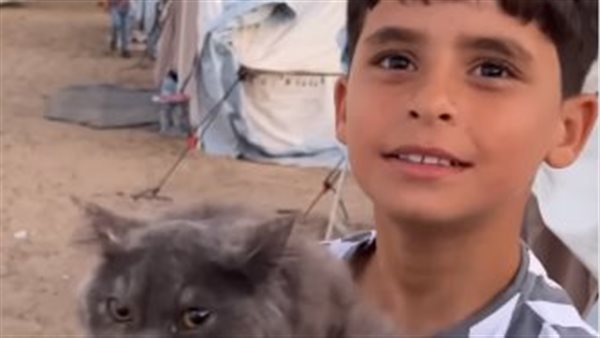 الطفل محمد نصار