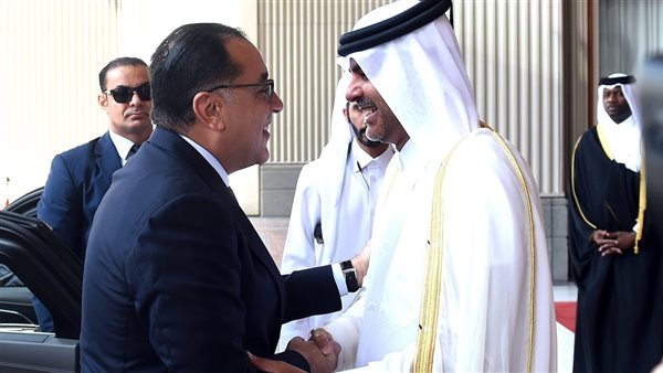 رئيس الوزراء مصطفى