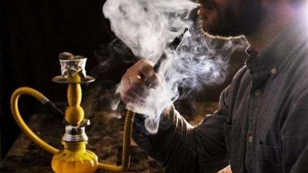 سعر المعسل القص والسلوم