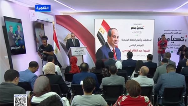 المستشار محمود فوزي