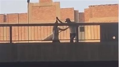 الداخلية تنشر فيديو لحظة سرقة عاملين خردة أجزاء من سور صفط اللبن| فيديو 