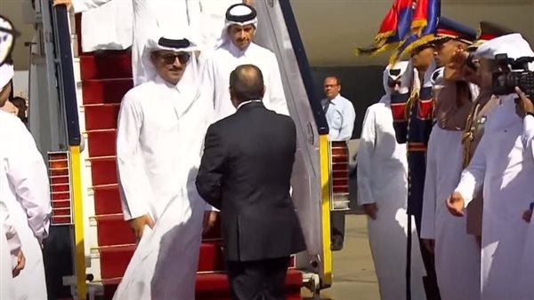 الرئيس السيسي وأمير