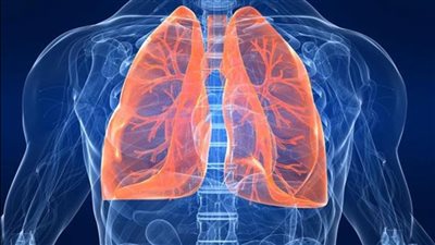 بكتيريا الميكوبلازما الرئوية.. الكشف عن أسباب تفشي الالتهاب الرئوي في الصين وأوروبا