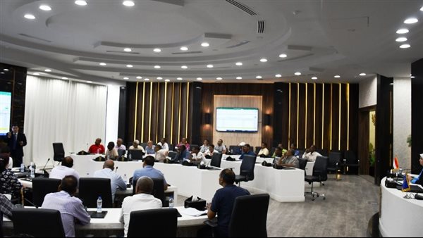 محافظ أسوان