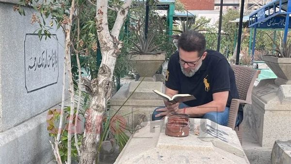 محمد محمود عبد العزيز