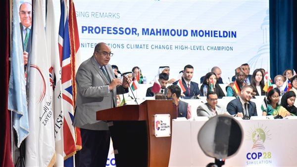 الدكتور محمود محيي