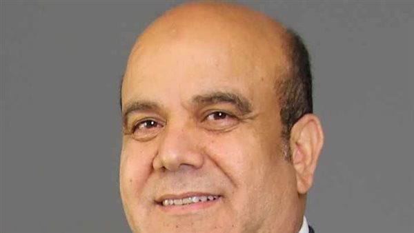 المستشار ربيع قاسم