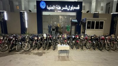 القبض على تشكيلات عصابية تخصصت في السرقات خلال حملات أمنية بعدة محافظات| صور