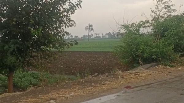 تساقط أمطار على بني