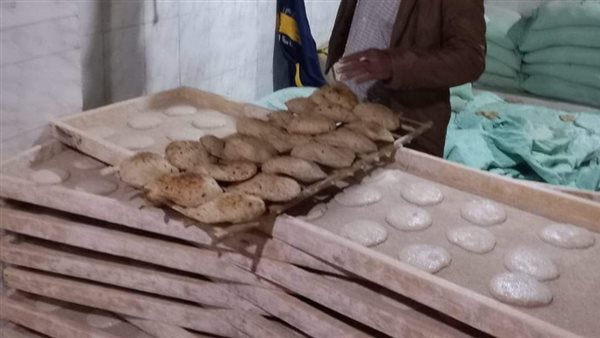 حملات تفتيشية بالمنيا