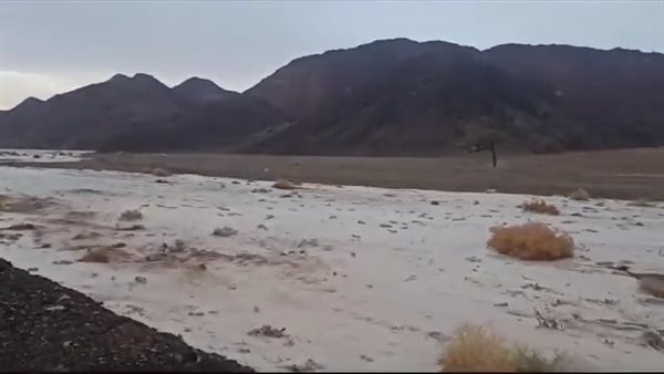 سيول مرسى علم جنوب