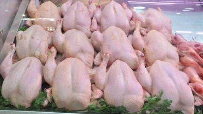 64 جنيها للبيضاء.. تراجع أسعار الدواجن اليوم الثلاثاء