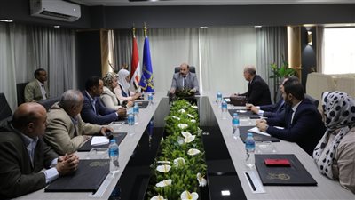 محافظ أسوان يلتقي وفد بنك الاستثمار القومي ووزارة التخطيط للمتابعة الميدانية