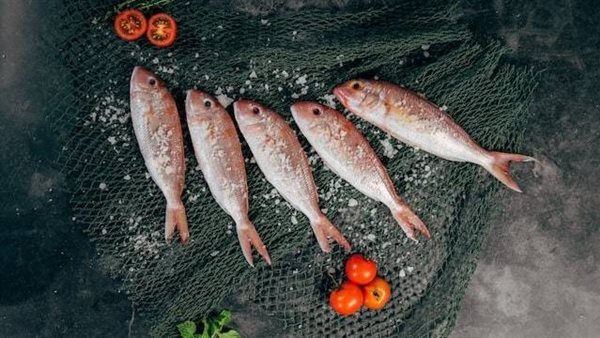 أكل السمك في المنام