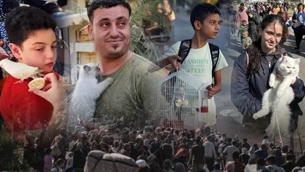 الحيوانات أثناء النزوح