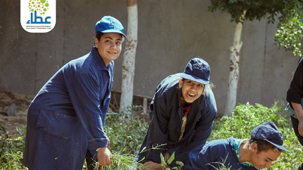 مستفيدي البرنامج